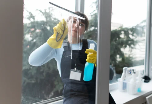 Nettoyage de vitres intérieures et extérieures à Diou